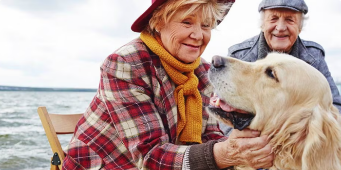 Imagen de Convivir con animales mejora la salud física y emocional de los adultos mayores