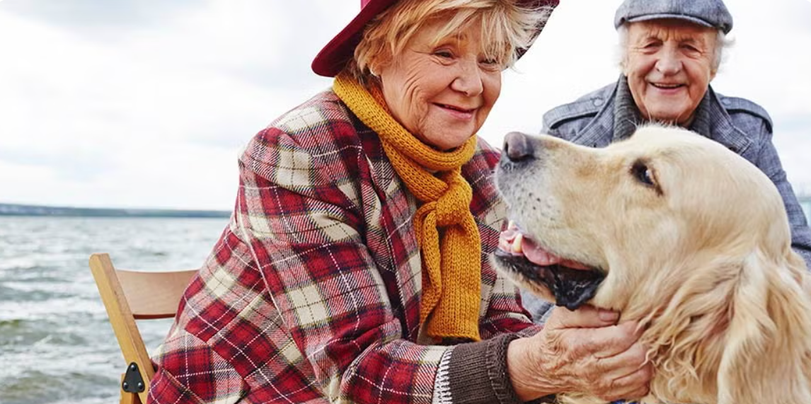 Imagen de Convivir con animales mejora la salud física y emocional de los adultos mayores